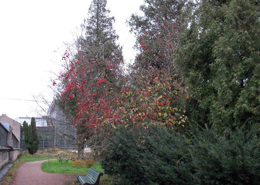 Ботанический сад 2
