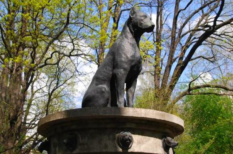 Памятник собаке Павлова 2